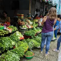 ベンタイン市場の写真・動画_image_241410