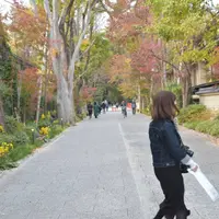 河合神社の写真・動画_image_241458