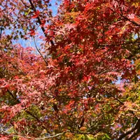 八瀬比叡山口駅の写真・動画_image_241460