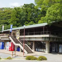 石清水八幡宮の写真・動画_image_2415