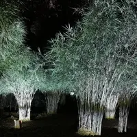 六義園の写真・動画_image_242748