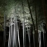 六義園の写真・動画_image_242749