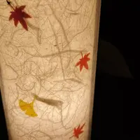 六義園の写真・動画_image_242751