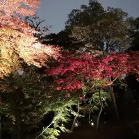 六義園の写真・動画_image_242752