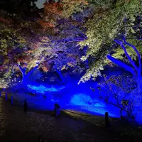 六義園の写真・動画_image_242753