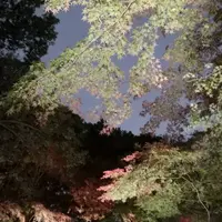 六義園の写真・動画_image_242754