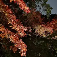 六義園の写真・動画_image_242755