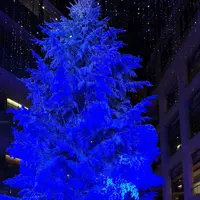 KITTEの写真・動画_image_242757