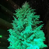 KITTEの写真・動画_image_242759