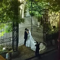 VINO BUONOの写真・動画_image_242979