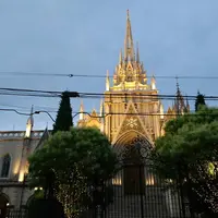 VINO BUONOの写真・動画_image_242984