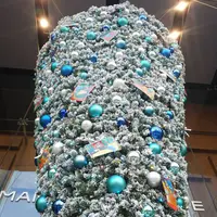 マロニエゲート銀座1の写真・動画_image_245145