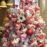 SONOKO CAFE 銀座店（【旧店名】SO CAFE）の写真・動画_image_245828