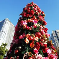 日比谷公園の写真・動画_image_245950