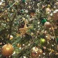 帝国ホテルの写真・動画_image_245953
