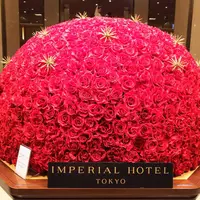 帝国ホテルの写真・動画_image_245954