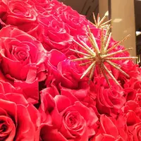 帝国ホテルの写真・動画_image_245955