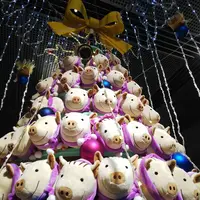 東京国際フォーラムの写真・動画_image_246011