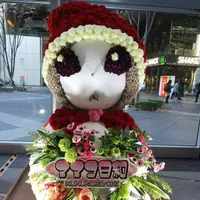 東京国際フォーラムの写真・動画_image_246013