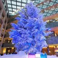 KITTEの写真・動画_image_246050