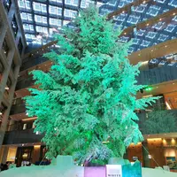 KITTEの写真・動画_image_246051