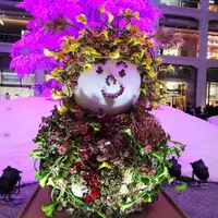 KITTEの写真・動画_image_246052