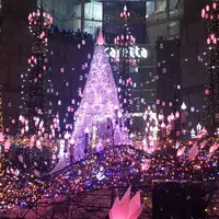 カレッタ汐留の写真・動画_image_246065