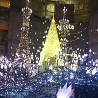 カレッタ汐留の写真・動画_image_246066