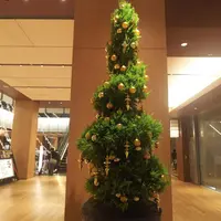 東京ミッドタウンの写真・動画_image_246074