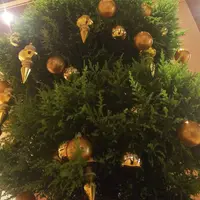 東京ミッドタウンの写真・動画_image_246075