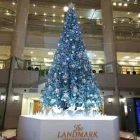 ランドマークプラザの写真・動画_image_246095