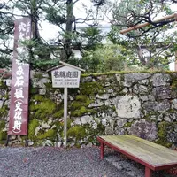 坂本の写真・動画_image_247116