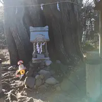 御浜海水浴場の写真・動画_image_247276