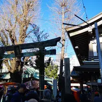 湯島天満宮（湯島天神）の写真・動画_image_247782