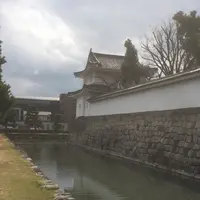 元離宮 二条城の写真・動画_image_25460