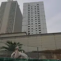 サンシャイン水族館の写真・動画_image_256295