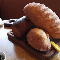 北瑛小麦の丘の写真・動画_image_256747