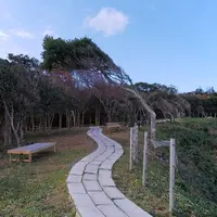 聖域の岬 青の洞窟の写真・動画_image_257197