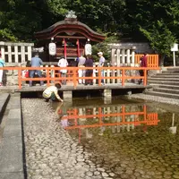 下鴨神社（賀茂御祖神社）の写真・動画_image_2572