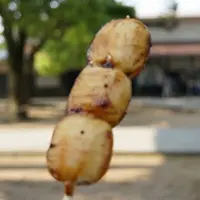 松下村塾の写真・動画_image_2575