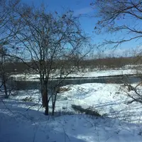 釧路湿原国立公園の写真・動画_image_25844
