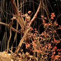 日本橋三井ホールの写真・動画_image_258781