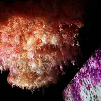 日本橋三井ホールの写真・動画_image_258783