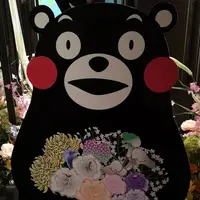 日本橋三井ホールの写真・動画_image_258786