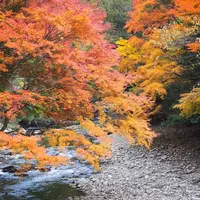 見谷渓谷の写真・動画_image_261216