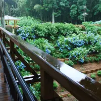 黒羽城址公園の写真・動画_image_2648