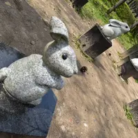 出雲大社の写真・動画_image_266090