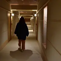 お宿 月夜のうさぎの写真・動画_image_266107