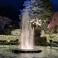 箱根強羅公園の写真・動画_image_266413