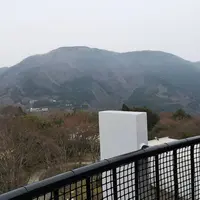 彫刻の森美術館の写真・動画_image_266429